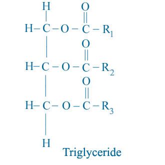 Biodiesel Molecule