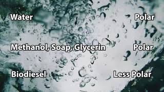 Washing Your Biodiesel