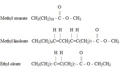 Ester Molecule